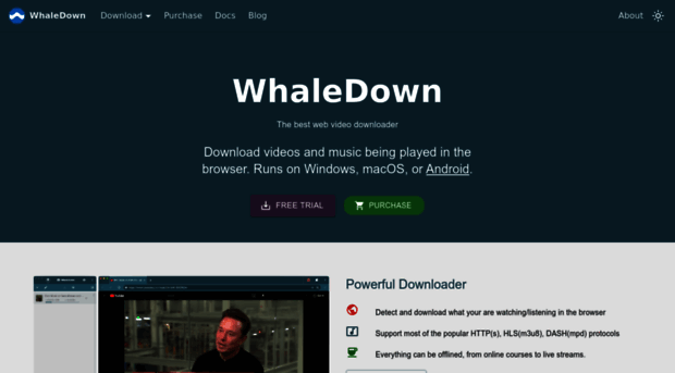 whaledown.com