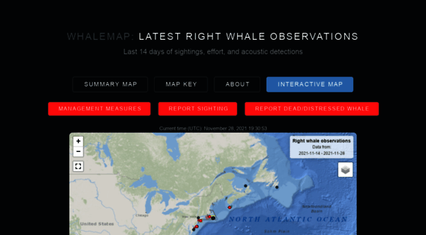 whalemap.org