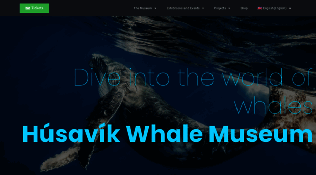 whalemuseum.is