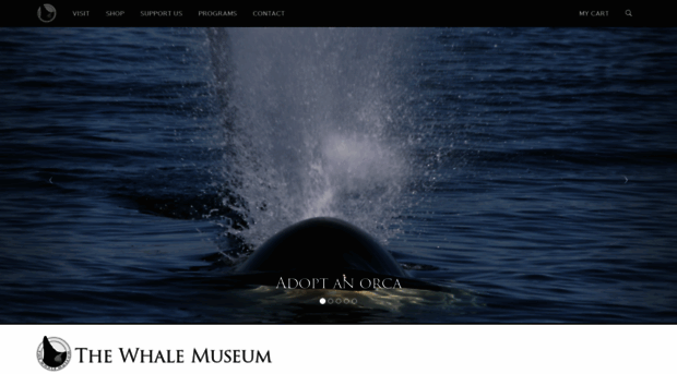 whalemuseum.org