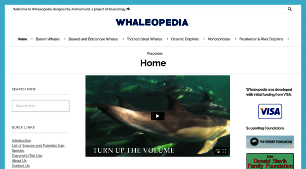 whaleopedia.org