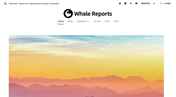 whalereports.com
