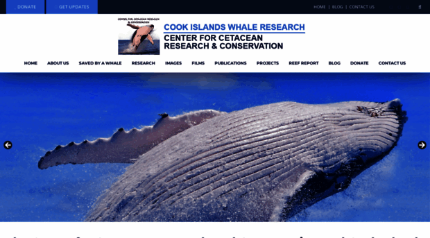 whaleresearch.org