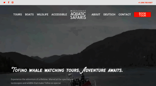 whalesafaris.com