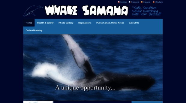 whalesamana.com