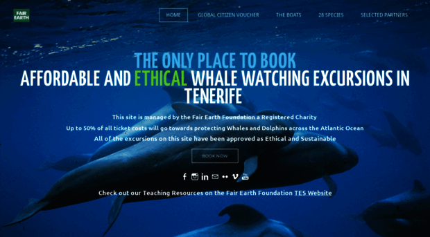 whalesanddolphinsoftenerife.org