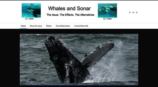 whalesandsonar.weebly.com