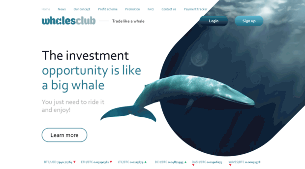 whalesclub.io