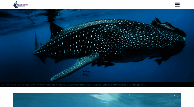 whalesharkmexico.com