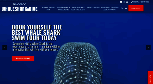 whalesharktours.com.au