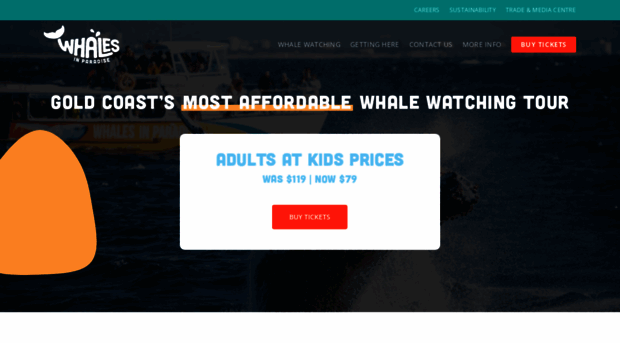 whalesinparadise.com.au