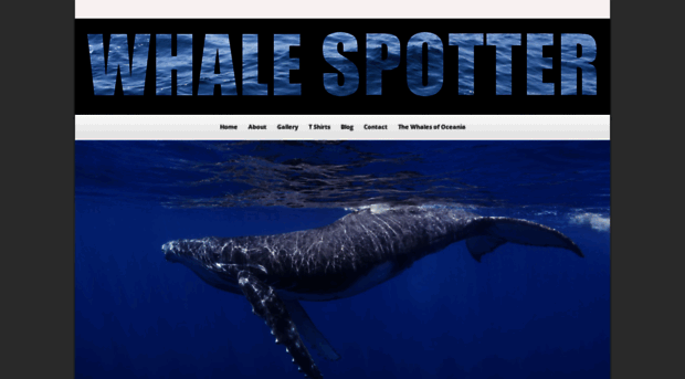 whalespotter.com.au