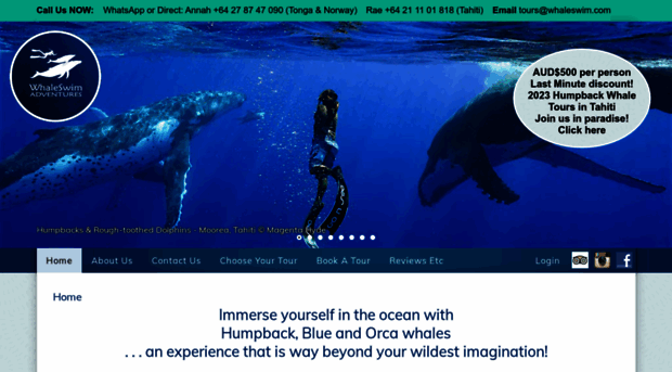 whaleswim.com