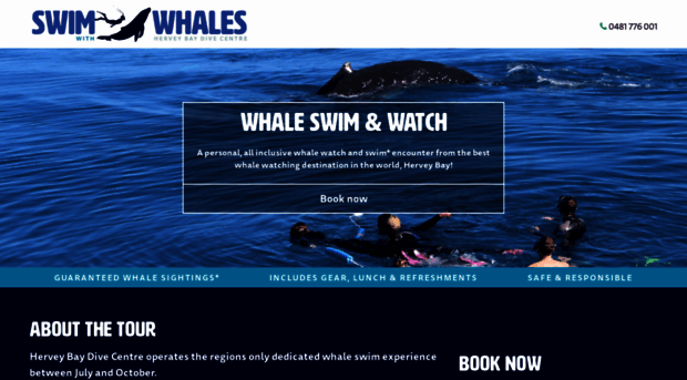 whaleswimsherveybay.com.au