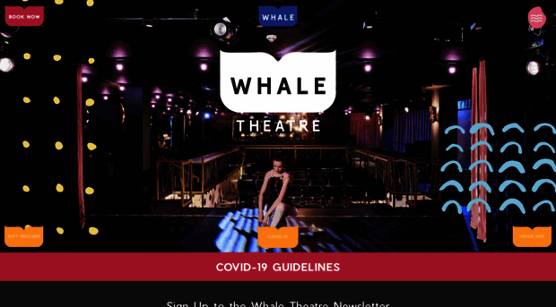 whaletheatre.ie