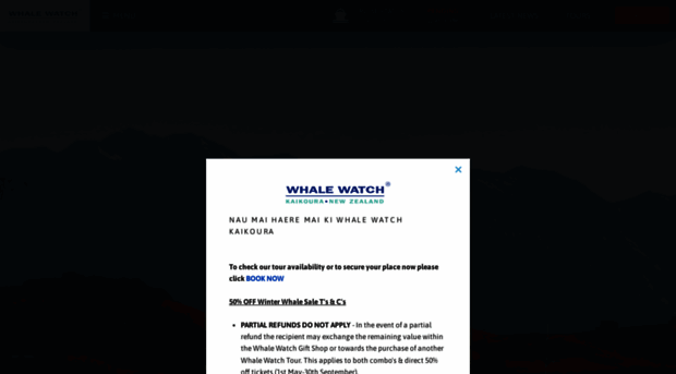 whalewatch.co.nz