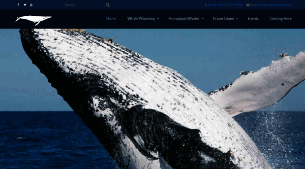 whalewatch.com.au