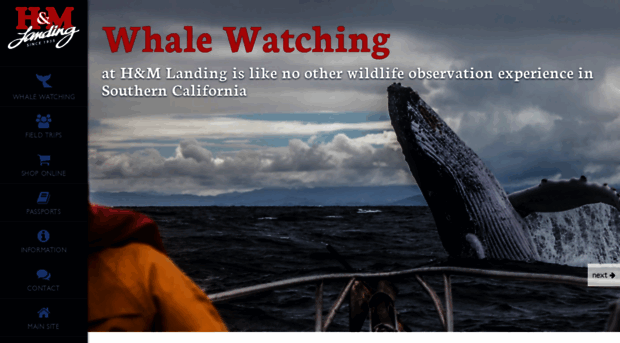 whalewatchingathmlanding.com