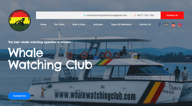 whalewatchingclub.com
