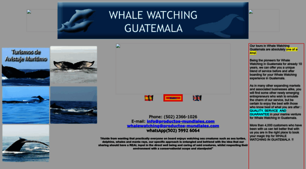 whalewatchingguatemala.com