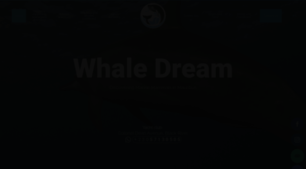 whalewatchingmauritius.com