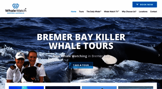 whalewatchwesternaustralia.com