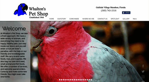 whaltonspetshops.com