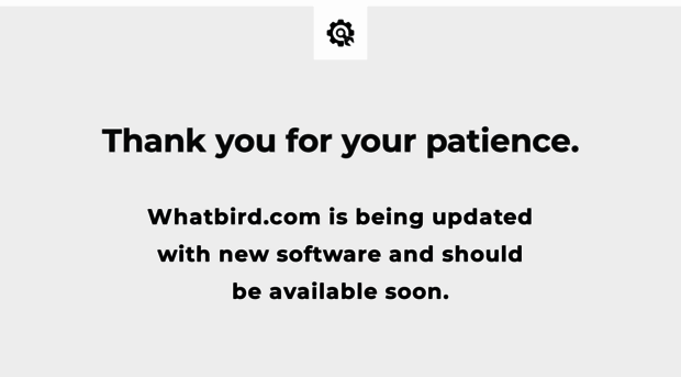 whatbird.com