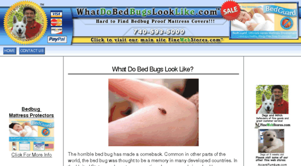 whatdobedbugslooklike.com