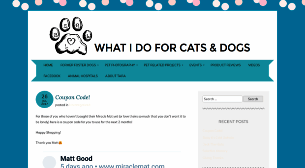 whatidoforcatsanddogs.wordpress.com