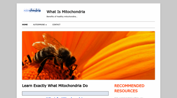 whatismitochondria.com