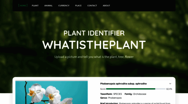 whatistheplant.com