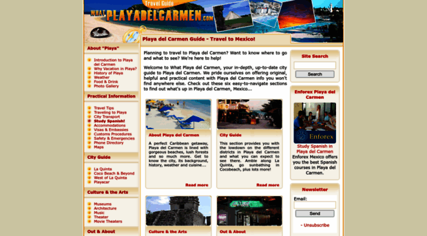 whatplayadelcarmen.com