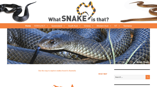 whatsnakeisthat.com.au