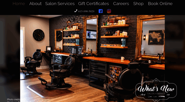 whatsnewthesalon.com