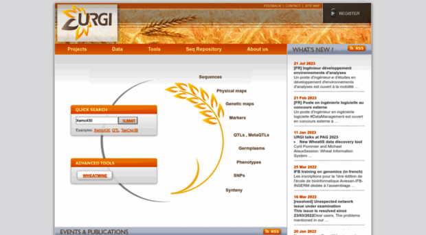 wheat-urgi.versailles.inra.fr