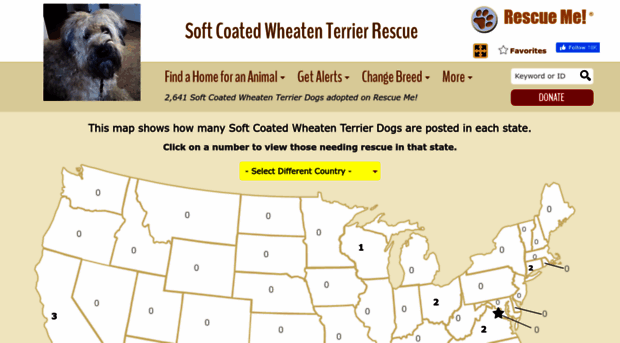 wheatenterrier.rescueme.org