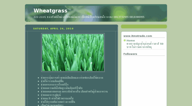 wheatgrasskaosalee.blogspot.com