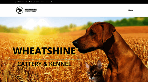 wheatshine.com