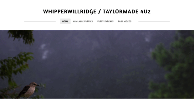 whipperwillridge.com