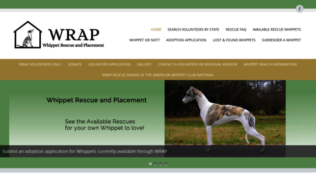whippet-rescue.org