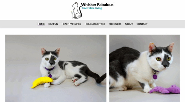 whiskerfabulous.com