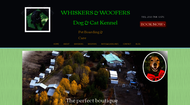 whiskersandwoofers.com