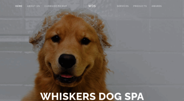 whiskersdogspa.com