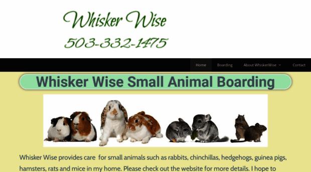 whiskerwiseanimalcare.com