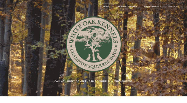 white-oak-kennels.com