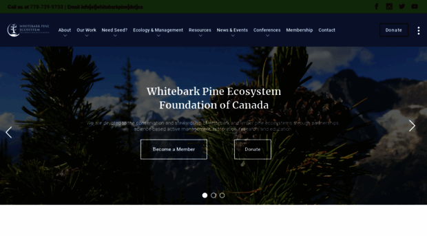 whitebarkpine.ca