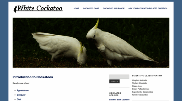 whitecockatoo.com