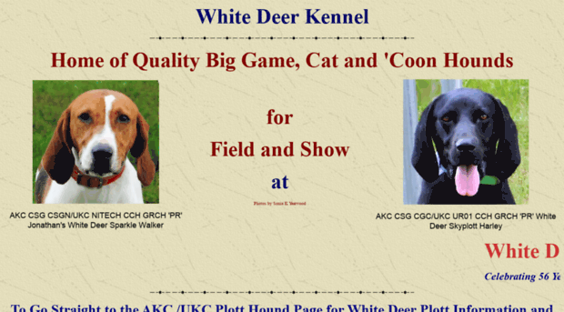 whitedeerkennel.com