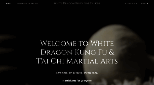 whitedragon-kungfu.com